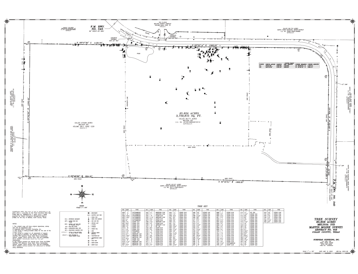 Tree Survey drawing